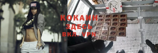 индика Кинешма