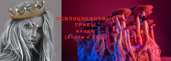 шишки Киренск