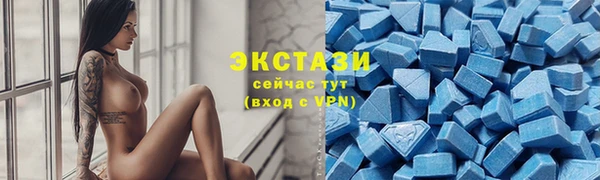 индика Кинешма