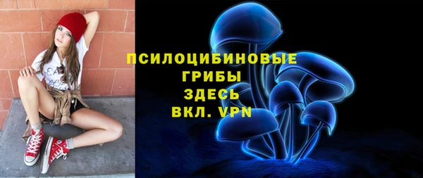 индика Кинешма