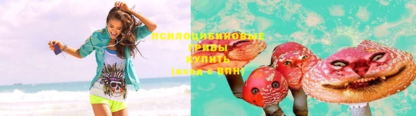 соль ск Киреевск