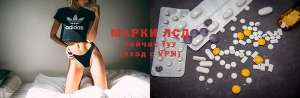 индика Кинешма