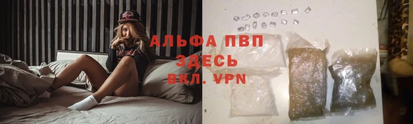 шишки Киренск