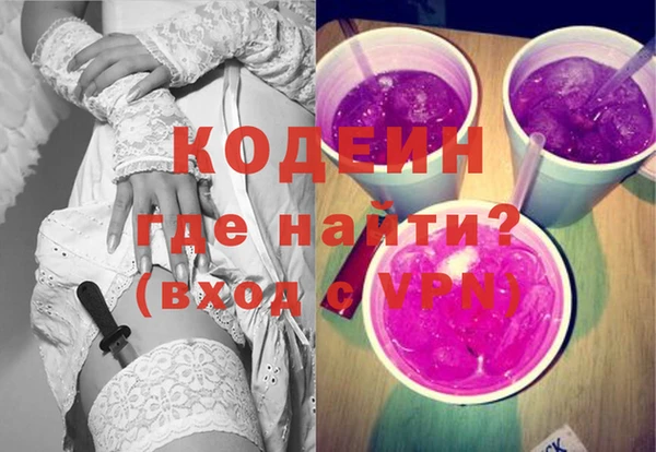 индика Кинешма