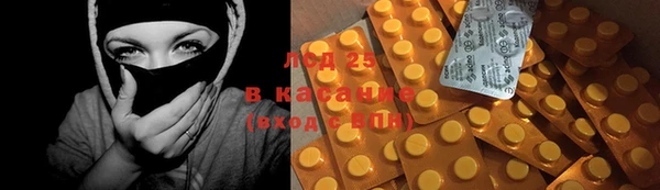 индика Кинешма