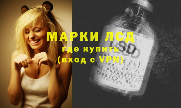 шишки Киренск