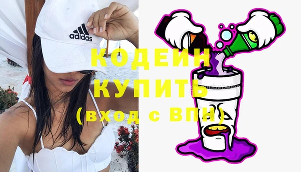 шишки Киренск