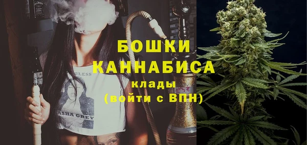индика Кинешма