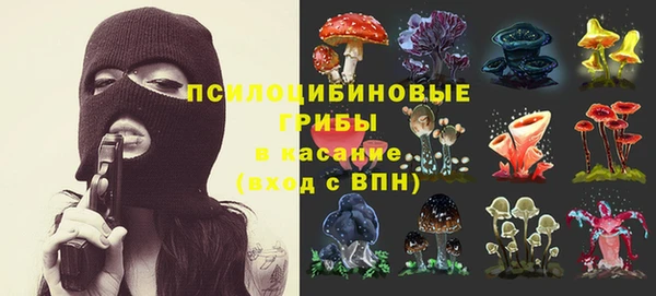 соль ск Киреевск