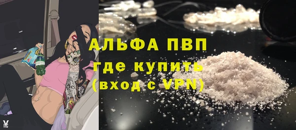 индика Кинешма