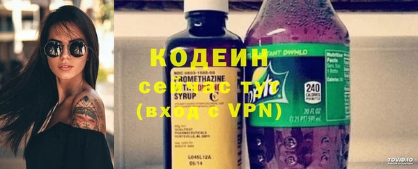 индика Кинешма