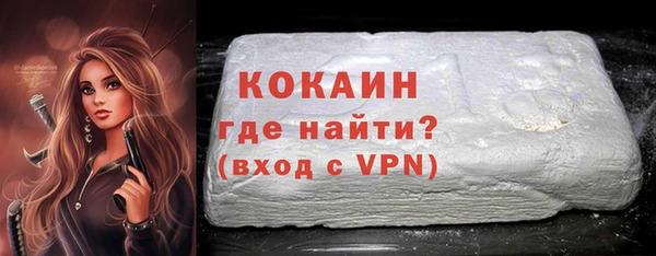 индика Кинешма