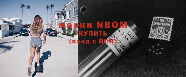 шишки Киренск