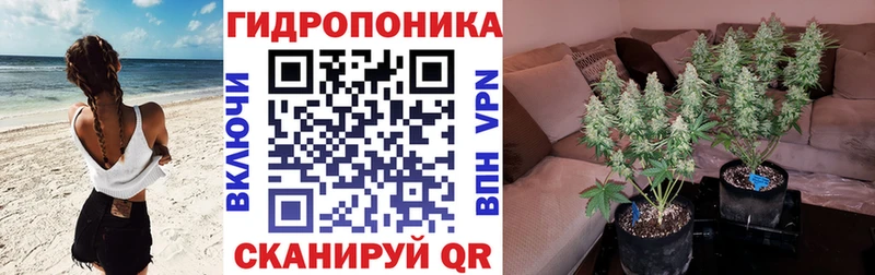 Купить  Окуловка  Бошки марихуана SATIVA & INDICA 